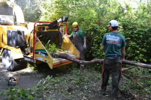 tree services Oglethorpe